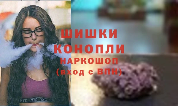 бошки Аркадак