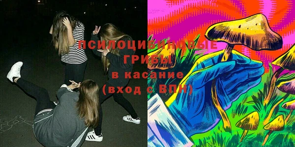 бошки Аркадак