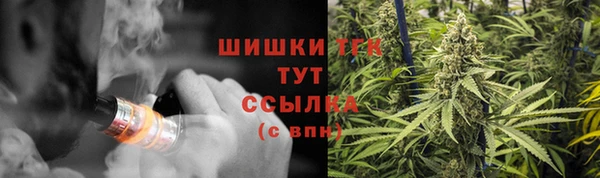бошки Аркадак