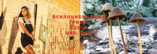 ALPHA PVP Арсеньев