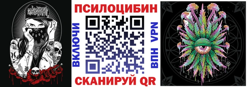 как найти закладки  Онега  Галлюциногенные грибы мицелий 